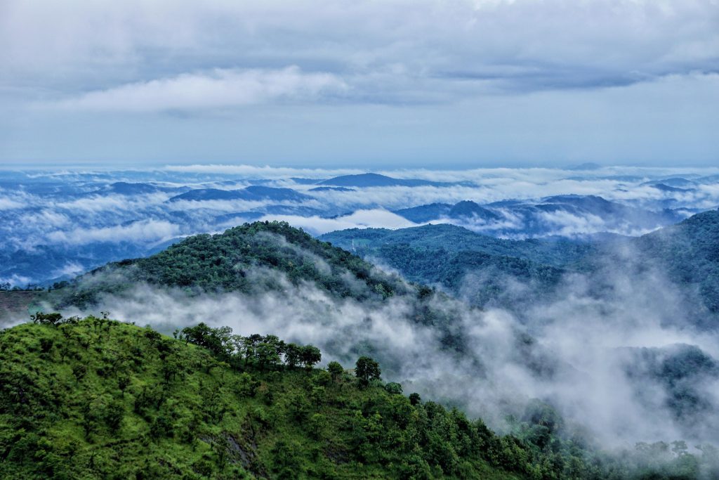 Kerala Hills